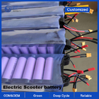 OEM ODM LiFePO4 lithium battery pack Electric Scooter battery China Manufacturer 48V 36V 24V with different capacity