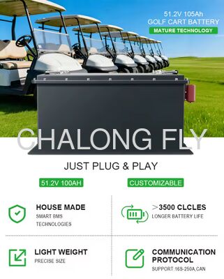 OEM ODM LiFePO4 MAX BMS 200A Golf Cart Battery Electric Lithium Ion Battery Packs High Capacity 51.2v 105ah