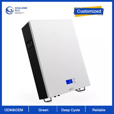 LiFePO4 Litium Battery Deep Cycle OEM ODM 48V 100AH 200AH 300AH Powerwall Przechowywanie energii słonecznej Litium Battery Packs