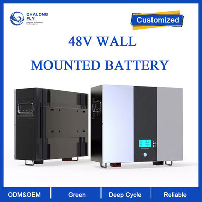 LiFePO4 Bateria litowa Domostwo Bateria do przechowywania energii słonecznej Bateria głęboki cykl OEM ODM 48V 100AH 200AH Litium Battery Packs