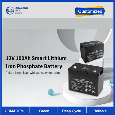 OEM ODM LiFePO4 bateria litowa 12V 100Ah bateria litowa inteligentny głęboki cykl dostosowane akumulatory akumulatory litowe