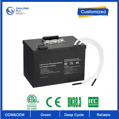 OEM ODM LiFePO4 bateria litowa 24100 24v 200ah Lifepo4 bateria dostosowane akumulatory litowe