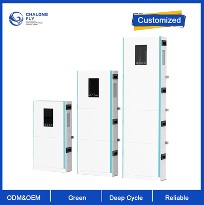 OEM ODM LiFePO4 bateria litowa System magazynowania baterii domowej 48V 100/200AH baterie litowe