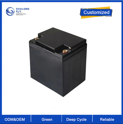 ODM OEM Niestandardowy typ wtyczki LiFePO4 Bateria litowa 24V 48V 18Ah 36Ah 40Ah