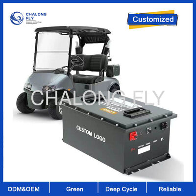 200V 300Ah LiFePO4 Bateria dla wózka widłowego    Industrial Grade Traction Power Solution