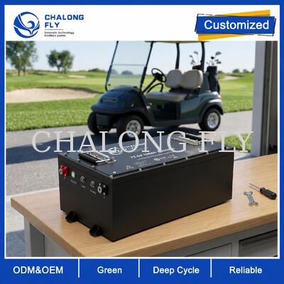 OEM ODM LiFePO4 Golf Cart Battery z niestandardowym napięciem niestandardowym BMS i CAN komunikacji