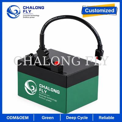 12.8V 18Ah 24Ah LiFePO4 Golf Trolley Battery z T-Bar Connector