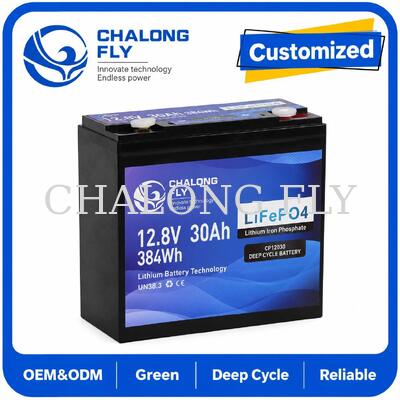 Akumulator cykliczny LiFePO4 12,8V 30Ah z energią 384Wh i inteligentnym BMS dla systemów 12V
